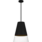 Quoizel One Light Pendant Peregrine in Brushed Black