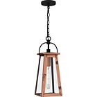 Quoizel One Light Outdoor Hanging Lantern Carolina in Aged Copper