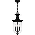 Quoizel Three Light Pendant Havana in Earth Black