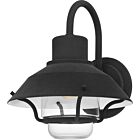 Quoizel One Light Outdoor Wall Mount Lavalier in Mottled Black