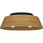 Quoizel Three Light Flush Mount Quoizel Flush Mount in Matte Black