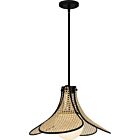 Quoizel One Light Pendant Quoizel Pendant in Matte Black