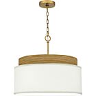 Quoizel Four Light Pendant Quoizel Pendant in Brushed Gold