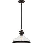 Quoizel One Light Pendant Grant in Palladian Bronze