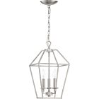 Quoizel Three Light Foyer Pendant Aviary in Brushed Nickel