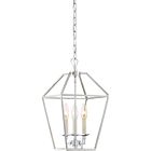 Quoizel Three Light Foyer Pendant Aviary in Polished Nickel