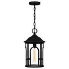 Brampton 1-Light Outdoor Hanging Lantern in Matte Black