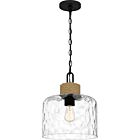 Quoizel One Light Mini Pendant Baltic in Matte Black