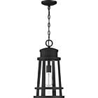 Dunham 1-Light Outdoor Lantern in Earth Black