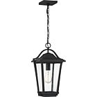 Quoizel One Light Outdoor Hanging Lantern Darius in Earth Black