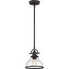 Quoizel One Light Mini Pendant Grant in Palladian Bronze