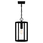 Quoizel One Light Outdoor Hanging Lantern Hazel in Earth Black