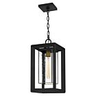 Infinger 1-Light Outdoor Hanging Lantern in Earth Black