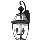 Quoizel Two Light Outdoor Wall Lantern Newbury in Medici Bronze