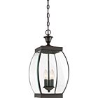 Quoizel Three Light Pendant Oasis in Medici Bronze