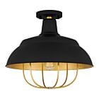 Darmody 1-Light Semi-Flush Mount in Matte Black