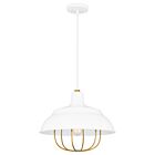 Darmody 1-Light Pendant in White