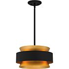 Quoizel Three Light Pendant Quoizel Pendant in Earth Black