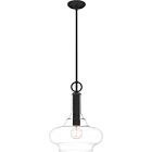 Pendant 1-Light in Mottled Black