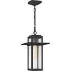 Randall 1-Light Outdoor Hanging Lantern in Mottled Black