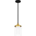 Quoizel One Light Mini Pendant Rowland in Matte Black