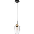 Quoizel One Light Mini Pendant Sagamore in Earth Black