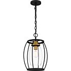 Thyme 1-Light Pendant in Earth Black