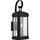 Trumbull 2-Light Outdoor Wall Lantern in Mystic Black