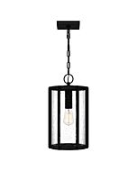 One Light Mini Pendant by Quoizel