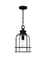 One Light Outdoor Hanging Lantern by Quoizel