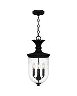 Three Light Outdoor Hanging Lantern by Quoizel