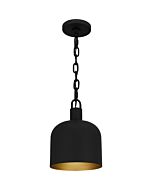 One Light Mini Pendant by Quoizel