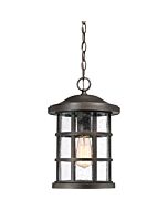 One Light Outdoor Hanging Lantern by Quoizel