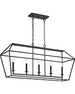 Quoizel Aviary 5 Light 42 Inch Linear Chandelier in Palladian Bronze