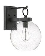 Quoizel Barre 10 Inch Outdoor Hanging Light in Grey Ash