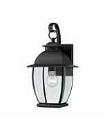 Quoizel Bain 8 Inch Outdoor Wall Light in Mystic Black