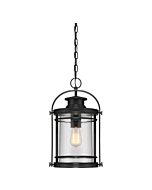 Quoizel Booker 11 Inch Outdoor Hanging Light in Mystic Black