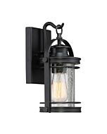 Quoizel Booker 7 Inch Outdoor Hanging Light in Mystic Black