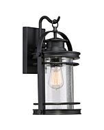 Quoizel Booker 9 Inch Outdoor Hanging Light in Mystic Black