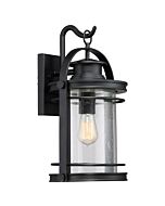 Quoizel Booker 11 Inch Outdoor Hanging Light in Mystic Black