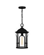 Brampton 1-Light Outdoor Hanging Lantern in Matte Black