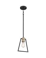 Quoizel Brockton 8 Inch Pendant Light in Grey Ash