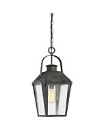 Quoizel One Light Mini Pendant Carriage in Mottled Black