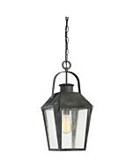 Quoizel Carriage 10 Inch Outdoor Hanging Light in Mottled Black