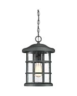 Quoizel Crusade 10 Inch Outdoor Hanging Light in Earth Black