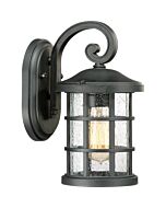 Quoizel Crusade 6 Inch Outdoor Wall Light in Earth Black