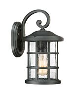 Quoizel Crusade 8 Inch Outdoor Wall Light in Earth Black