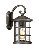 Quoizel Crusade 8 Inch Outdoor Wall Light in Palladian Bronze