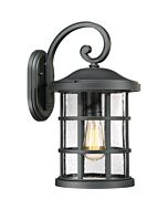 Quoizel Crusade 10 Inch Outdoor Wall Light in Earth Black