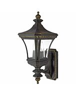 Quoizel Devon 2 Light 9 Inch Outdoor Hanging Light in Imperial Bronze